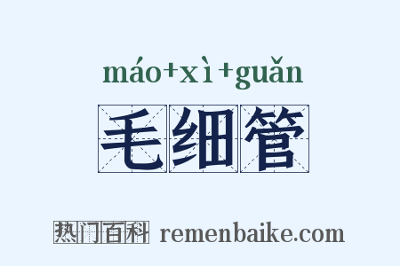 毛细管是什么意思的图片